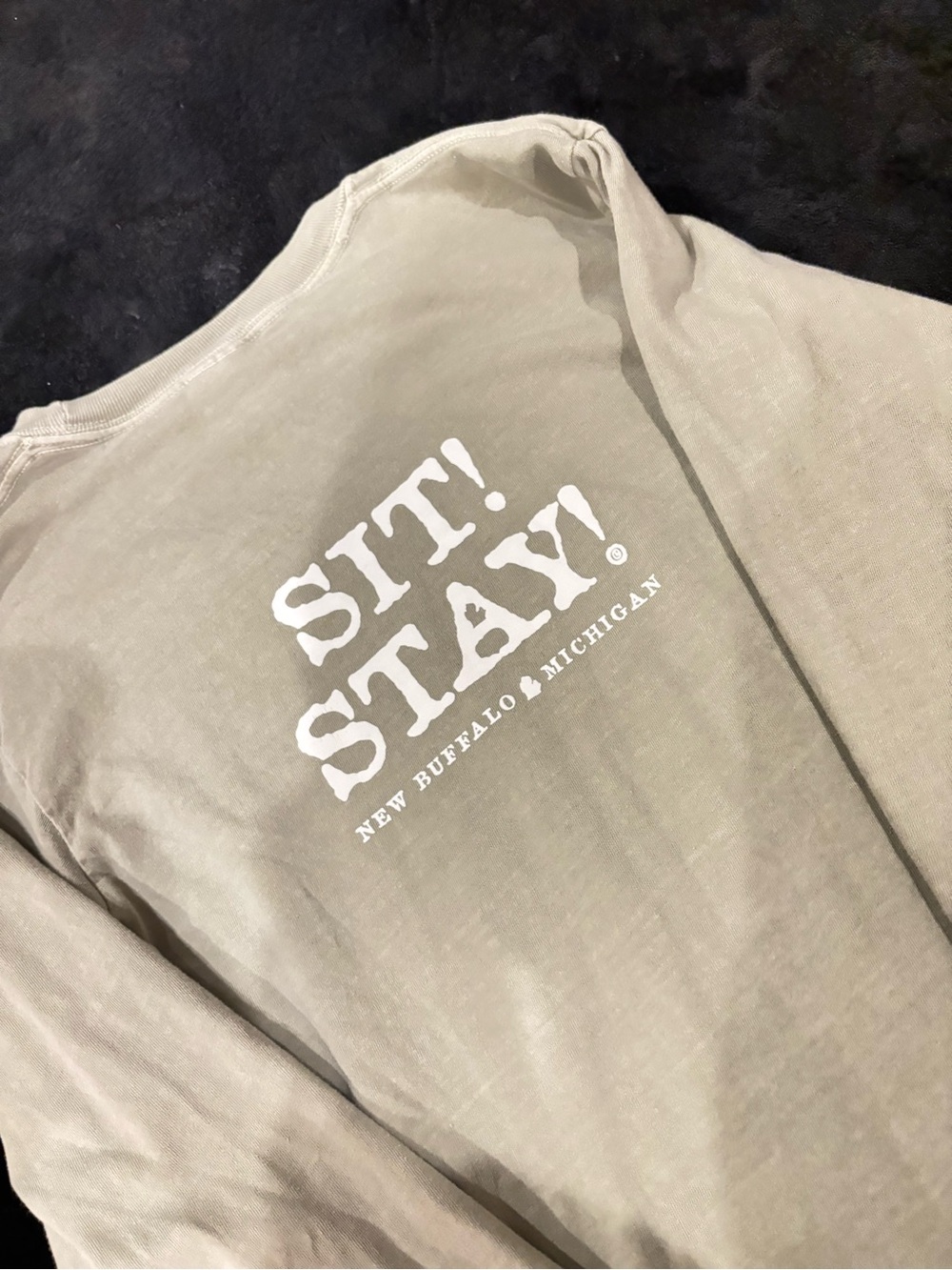 The Stray Dog Bar & Grill Graphic Long Sleeve Tee - Gray - Picture 2 of 2